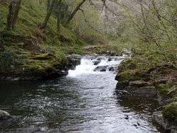 Watersmeet Wallpaper