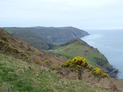 Valley of The Rocks Wallpaper