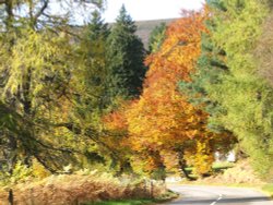 On the road to Cairngorm Wallpaper