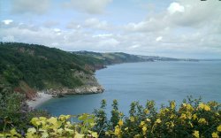 Along the Coast from Babbacombe. Wallpaper