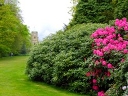 Wentworth Castle Wallpaper