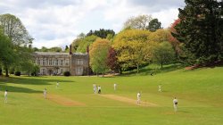 Cockington Court Wallpaper