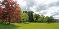 Cockington Court Wallpaper