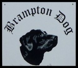 The Old Brampton Dog Wallpaper