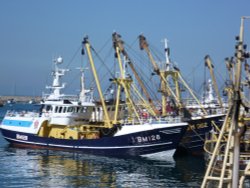 Brixham Trawlers Wallpaper