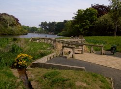 Wooden Walkway Wallpaper