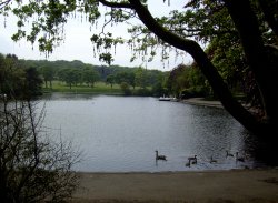 Boating Lake Wallpaper