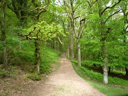 Quantock Hills Wallpaper