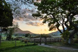 Loweswater 033