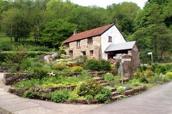 Cottage and garden. Wallpaper