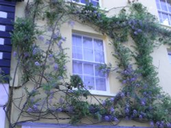 A view of Lyme Regis Wallpaper