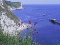 A view of Lulworth Cove Wallpaper