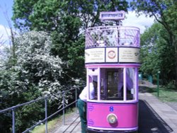 Seaton Trams Wallpaper