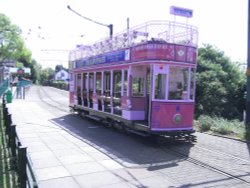 Seaton Trams Wallpaper