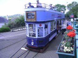 Seaton Trams Wallpaper