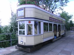 Seaton Trams Wallpaper