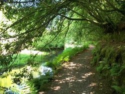 Shady lakeside walk at Trevarno Gardens, Cornwall Wallpaper