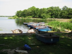 Filby Broad Wallpaper