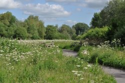 Watermead Park Wallpaper