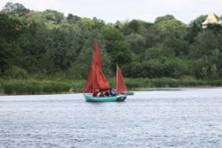 At Whitlingham Country Park Wallpaper