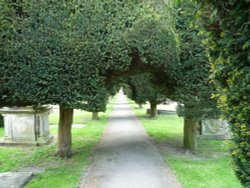 Painswick Churchyard Wallpaper