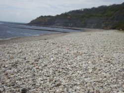 Lyme Regis Wallpaper