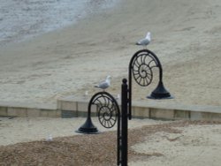 Lyme Regis