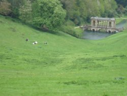 Prior Park Wallpaper