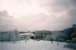 Snowfall on the Green Wallpaper