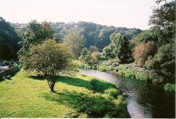 The Derwent River at Lintzford Wallpaper