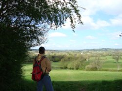 Between Bourton and the Rissingtons Wallpaper