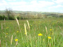 Fields outside Bourton on the water Wallpaper