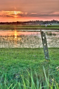 Pett Level Lakes