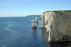 Studland in Dorset Wallpaper