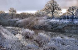 Stour Valley Winter, Shillingstone.