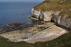 Thornwick Bay Wallpaper