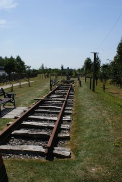 A picture of The National Memorial Arboretum