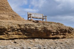 Bench on Filey Brigg