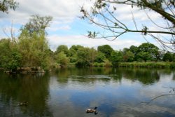 Summer on the Lake at Nidd. Wallpaper