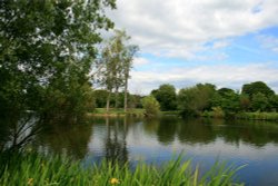 Summer on the Lake at Nidd. Wallpaper