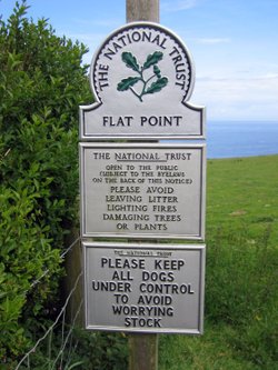 Flat Point