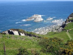 South West Coast path from Lee Bay to Bull Point Wallpaper