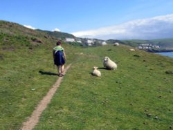 South West Coast path from Morte Point to Woolacoombe