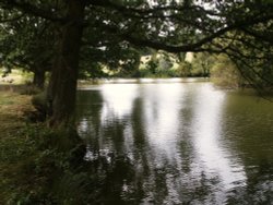 The lake in the grounds of the park. Wallpaper