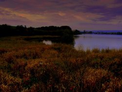 A view of the lake Wallpaper