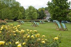 Deckchairs in the Wind Wallpaper