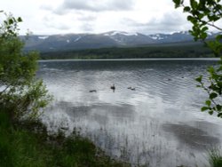 Cairngorms Wallpaper