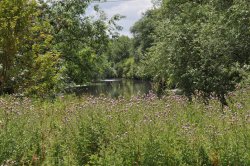 River Soar Wallpaper