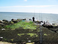 A lone fisherman at Ness Point