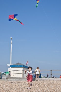 Free as a bird flying a kite